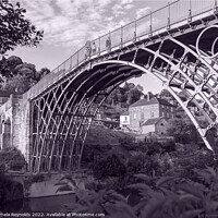 Buy canvas prints of View of Ironbridge on a Sunny Day  in Mono by Pamela Reynolds