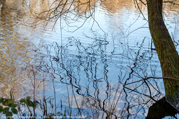 Ripples on a local lake with a Tree trunk Picture Board by Pamela Reynolds