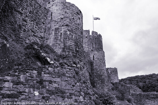 Conway Castle north Wales showing the side view  Picture Board by Pamela Reynolds