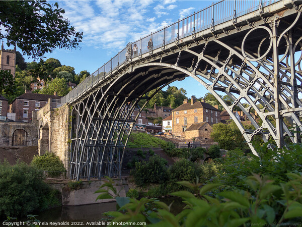 View of Ironbridge on a Sunny Day  Picture Board by Pamela Reynolds