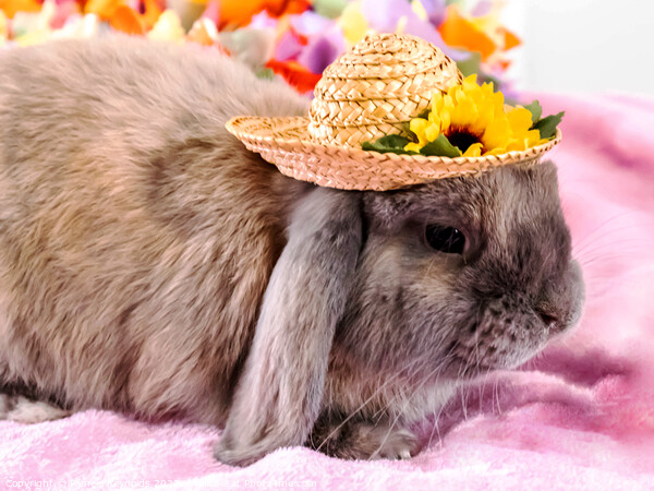 Rabbit with Easter Bonnet Picture Board by Pamela Reynolds