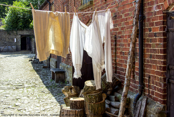 Victorian Long Johns and Bloomers Drying on a Washing Line Picture Board by Pamela Reynolds