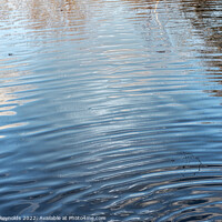 Buy canvas prints of Ripples on a Lake with Plastic Wrap Filter by Pamela Reynolds