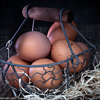 Buy canvas prints of Eggs in Wirebasket by Pamela Reynolds