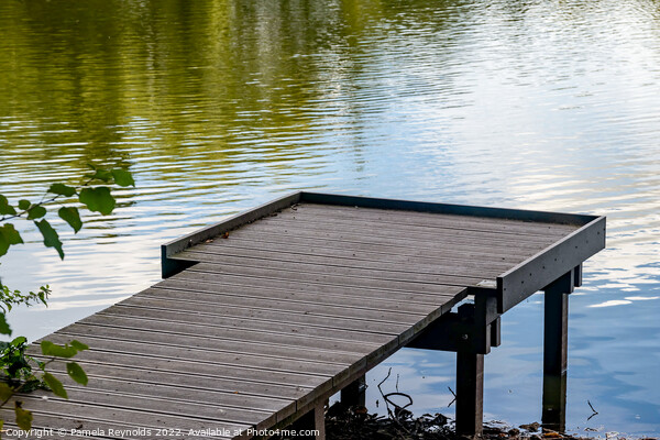 Landing Stage at Apley Wood Fishing Pool Picture Board by Pamela Reynolds