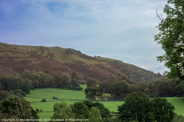 A view of Longmynd in Shropshire Picture Board by Pamela Reynolds