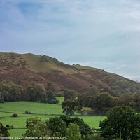 Buy canvas prints of A view of Longmynd in Shropshire by Pamela Reynolds