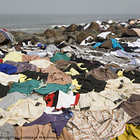Buy canvas prints of Freshly laundered clothes and fabrics drying on rocks by the sea at Mumbai, India by Gordon Dixon