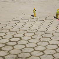 Buy canvas prints of Pushing hexagons ? - workers in Dubai grout large tiles in Dubai by Gordon Dixon