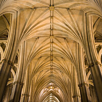 Buy canvas prints of Awe-inspiring vaulted roof inside Bristol Cathedral by Gordon Dixon