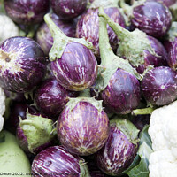 Buy canvas prints of Aubergines or Brinjals bordered by cauliflowers on a vegetable stall in Mumbai by Gordon Dixon