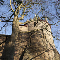 Buy canvas prints of Tree casts shadows over the walls of the fairy-tale Castle Coch in South Wales by Gordon Dixon