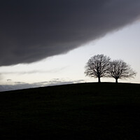 Buy canvas prints of Two mature trees on a hill in silhouette brace for the imminent storm by Gordon Dixon
