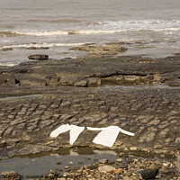 Buy canvas prints of Lying flat out by the sea - laundry drying on rocks at Mumbai, India by Gordon Dixon