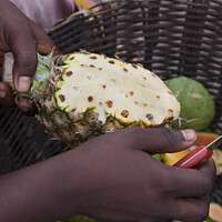 Buy canvas prints of Preparing a pineapple for eating - roadside seller, Ghana by Gordon Dixon