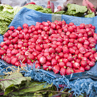 Buy canvas prints of Freshly picked radishes for sale - Casablanca by Gordon Dixon