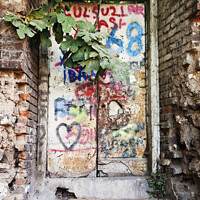 Buy canvas prints of Old garden doorway with fig tree and graffiti - Istanbul by Gordon Dixon