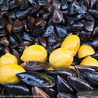 Buy canvas prints of Fresh mussels and lemons for sale - Kocaeli, Turkey by Gordon Dixon