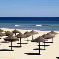 Buy canvas prints of Algarve Beach Umbrellas in Rows by Nick Edwards