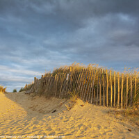 Buy canvas prints of Sand dunes at Walberswick  by andrew loveday
