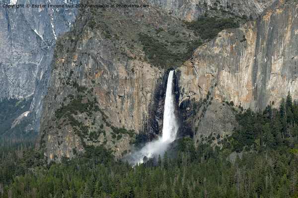 Waterfall in Yosemite National Park Picture Board by Eszter Imrene Virt