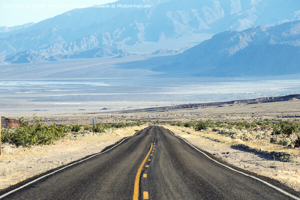 Empty road to the mountains in the United States Picture Board by Eszter Imrene Virt