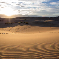 Buy canvas prints of Sunset in the desert by Eszter Imrene Virt