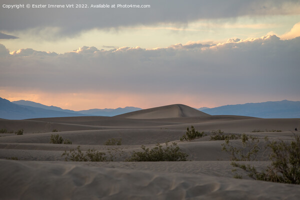 Sunset in the desert Picture Board by Eszter Imrene Virt