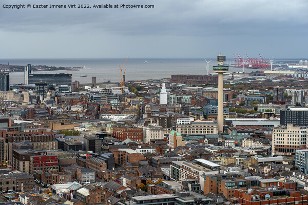 The city of Liverpool from the tower of Liverpool Cathedral Picture Board by Eszter Imrene Virt