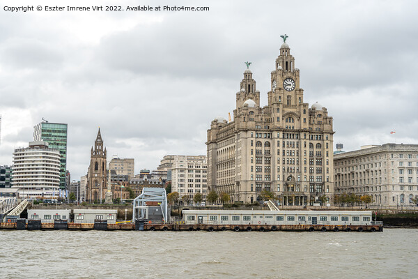 Liver Building in Liverpool Picture Board by Eszter Imrene Virt