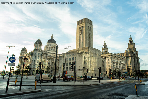 Buildings of Liverpool Picture Board by Eszter Imrene Virt