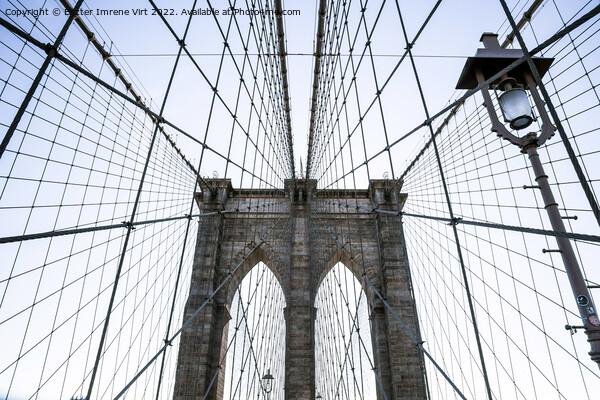  Abstract shape of the wires of Brooklyn Bridge with a lamp post Picture Board by Eszter Imrene Virt