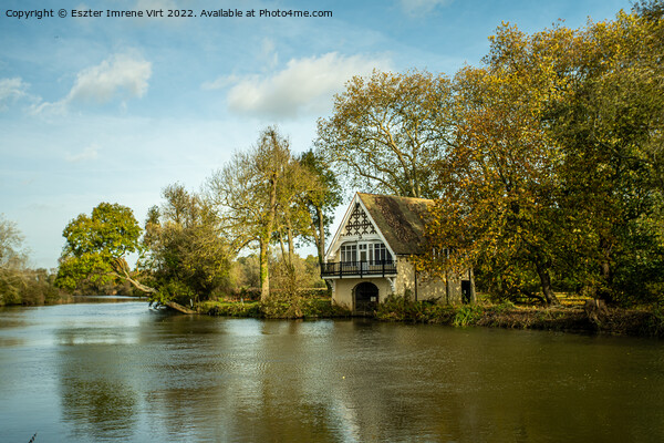 A lovely boathouse on the riverside  Picture Board by Eszter Imrene Virt