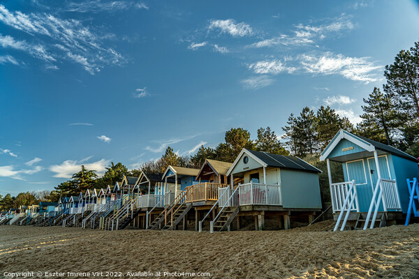 Beach huts in Norfolk Picture Board by Eszter Imrene Virt