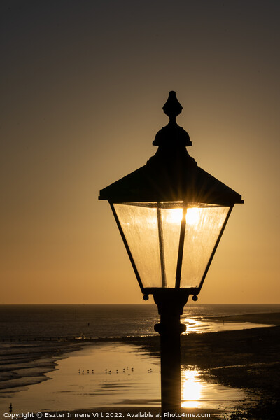 The rising sun through a street lamp Picture Board by Eszter Imrene Virt