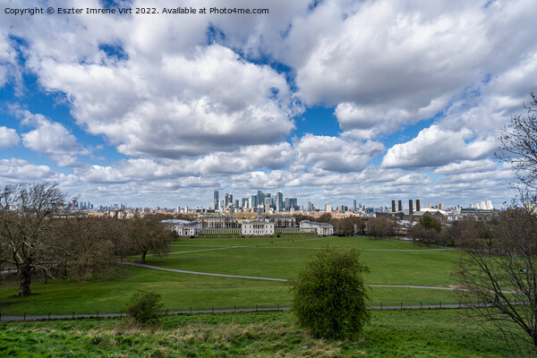 The skyline of London from Greenwich Park Picture Board by Eszter Imrene Virt