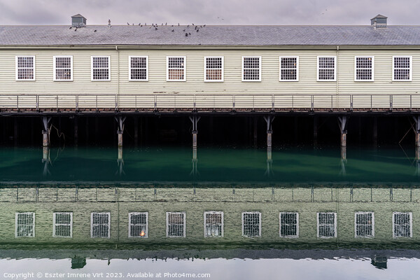 Historic Dockyard, Portsmouth Picture Board by Eszter Imrene Virt