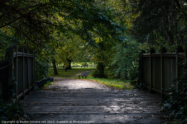 An empty bench in Regent's Park, London Picture Board by Eszter Imrene Virt