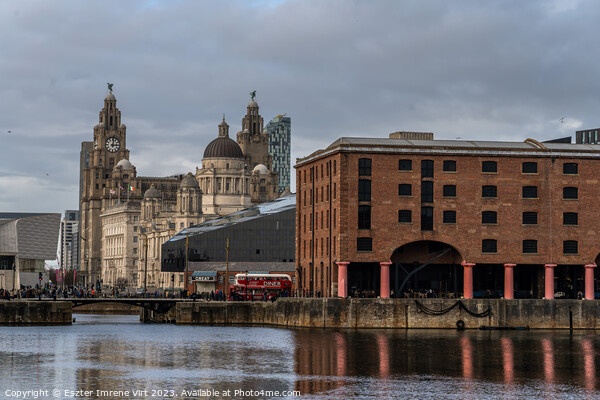 Royal Liver Building and Royal Albert Dock in Liverpool Picture Board by Eszter Imrene Virt