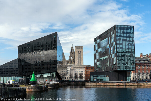 Modern and old architecture in Liverpool Picture Board by Eszter Imrene Virt