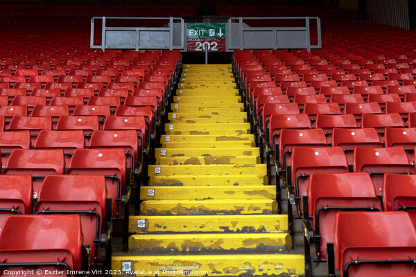 Rows of seats in Anfield Stadium Picture Board by Eszter Imrene Virt