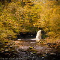 Buy canvas prints of Autumn at Sgwd Gwladys by Chris Richards