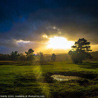 Buy canvas prints of Dramatic Light on Ashdown Forest by Chris Richards