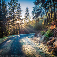 Buy canvas prints of Frosty Morning in Brechfa Forest, Carmarthenshire by Chris Richards