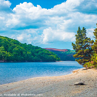 Buy canvas prints of Llyn Brianne Shore in Summer by Chris Richards