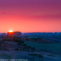 Buy canvas prints of Sunset Over Friends Clump, Ashdown Forest by Chris Richards