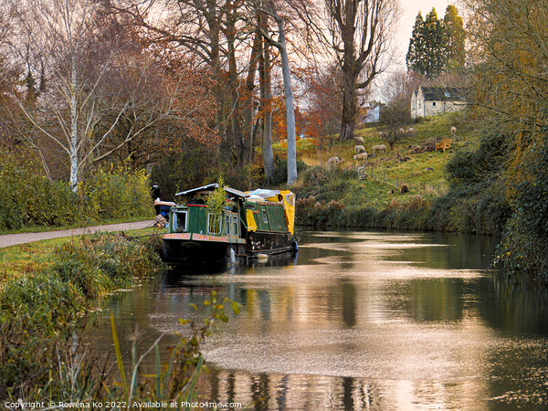 Autumn Kennet & Avon Canal  Picture Board by Rowena Ko