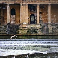 Buy canvas prints of Pulteney Weir, Bath by Rowena Ko