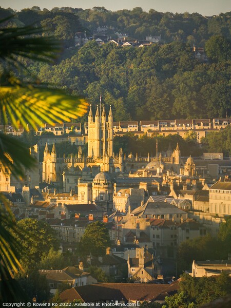 Bath city centre glows in a golden morning sunrise Picture Board by Rowena Ko