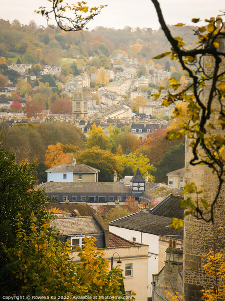 Autumn view of Bathwick Hill Picture Board by Rowena Ko